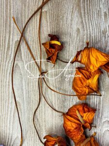 effetto-legno4